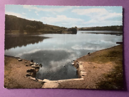 22  CPSM    JUGON   L’Etang  « La Petite Bonde »    Très Bon état - Jugon-les-Lacs