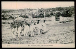 VALPAÇOS - COSTUMES -Uma Malhada De Centeio. ( Ed. De Sesinando Chaves- Casa Fundada Em 1894- Nº 9 ) Carte Postale - Vila Real