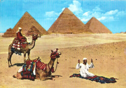 Egypt Giza ... Ey059 Used - Gizeh