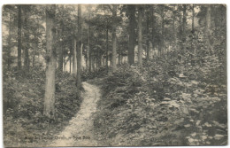 Mont-de-l'Enclus - Orroir - Sous Bois - Kluisbergen