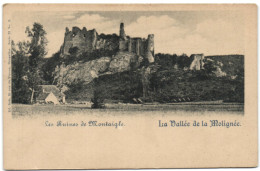 Ruines De Montaigle - La Vallée De La Molignée (Nels Série 22 N° 2) - Onhaye