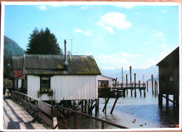 FISH CANNERY NEAR PRINCE RUPERT COLUMBIA CANADA CONSERVERIE - Prince Rupert