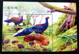 Taiwan Conservation Of Birds - Swinhoe's Pheasant 2014 Fauna Wildlife Bird Squirrel Fern (stamp Title) MNH - Nuevos