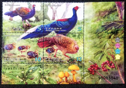 Taiwan Conservation Of Birds - Swinhoe's Pheasant 2014 Fauna Wildlife Bird Mushroom Fern (stamp Color Code) MNH - Neufs