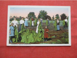 Harvesting Tobacco In - Kentucky >   Ref 6223 - Altri & Non Classificati