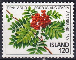 ISLAND 1980 Mi-Nr. 554 ** MNH - Nuevos