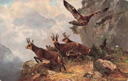 ANIMAUX & FAUNE - Chamois - Aigle - Colorisé - Carte Postale Ancienne - Andere & Zonder Classificatie