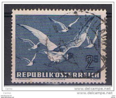 AUSTRIA:  1950/53  P.A. GABBIANI  IN  VOLO  -  1 S. BLU  GRIGIO  US. -  YV/TELL. 56 - Altri & Non Classificati