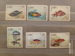 1969	Cuba	Fishes  (F51) - Oblitérés