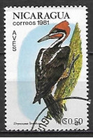 NICARAGUA     -    PIC    -    Oblitéré - Piciformes (pájaros Carpinteros)