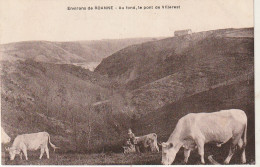 *** 42  ***  Pâturage Vaches Aux Environs De Roanne -  Au Fond Le Pont De Villerest -- Neuve Excellent état - Allevamenti