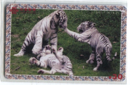 Télécarte China Unicom : Tigres Blancs - Selva