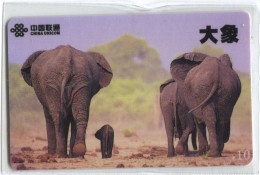 Télécarte China Unicom : Eléphants - Dschungel