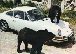 Automobile Ancienne PORSCHE Porsche Modèle Type ? * Auto Voiture * Sigean Ours Tibet - Voitures De Tourisme