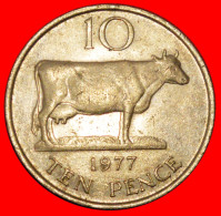 * GREAT BRITAIN (1977-1984): GUERNSEY  10 PENCE 1977 COW! ELIZABETH II (1953-2022) · LOW START · NO RESERVE! - Guernsey