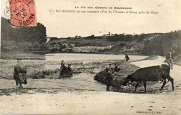 - La Vie Aux Champs En BOURGOGNE -  L'abreuvoir Dans L'Yonne à Rosoy (89) Animée, Vaches -26218- - Bourgogne