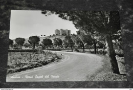 A4128  ANDRIA, VERSO CASTEL DEL MONTE - Andria