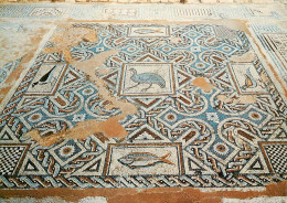 Cyprus Limassol Curium Mosaics - Chypre