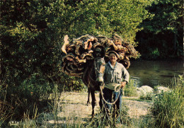 Corse * Transport Du Chêne Liège , Halte Au Ruisseau * âne Mule Mulet Donkey - Autres & Non Classés