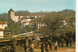 Espelette Animée Foire Aux Pottoks Chevaux - Espelette