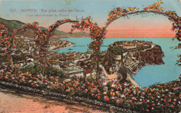 MONACO - Vue Prise Entre Les Fleurs - Colorisé - Carte Postale Ancienne - Andere & Zonder Classificatie