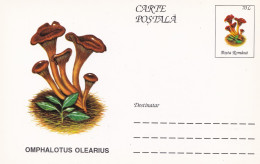 A23262 -MUSHROOM  Champignons  "OMPHALOTUS OLEARIUS " Entier Postal,stationery Card  1996  - Champignons