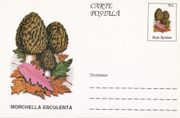 A23267  - MUSHROOM  Champignons  "MORCHELLA ESCULENTA  " Entier Postal,stationery Card  1996  - Hongos