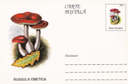 A23266   - MUSHROOM  Champignons  "RUSSULA EMETICA  " Entier Postal,stationery Card  1996  - Champignons