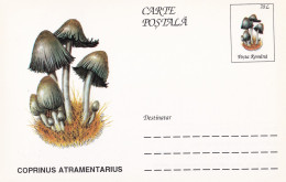 A23273  - MUSHROOM  Champignons  "COPRINUS ATRAMENTARIUS  " Entier Postal,stationery Card  1996  - Hongos