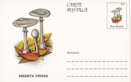 A23281  - MUSHROOM  Champignons  "AMANITA VIROSA   " Entier Postal,stationery Card  1996  - Champignons