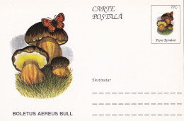 A23278  - MUSHROOM  Champignons  "BOLETUS AEREUS BULL  " Entier Postal,stationery Card  1996  - Champignons