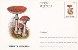 A23279  - MUSHROOM  Champignons  "AMANITA MUSCARIA  " Entier Postal,stationery Card  1996  - Hongos