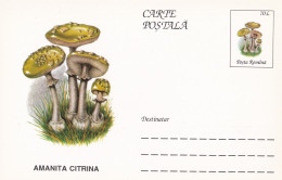 A23280  - MUSHROOM  Champignons  "AMANITA CITRINA  " Entier Postal,stationery Card  1996  - Champignons