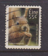 IRELAND  -  2011  Red Squirrel  55c  Self Adhesive  Used As Scan - Used Stamps