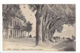 31559 - Aubonne Avenue Du Château Et Le Casino 1913 - Aubonne