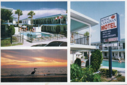 Royal Canadian Motel - Clearwater Beach - Florida - Stati Uniti - Alberghi & Ristoranti