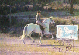 Portugal -5 Postais  Máximos  -Cavalos  De Raça Portuguesa    1986 - Marcophilie