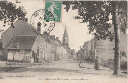 45 - OUZOUER SUR LOIRE - Route D'Orléans - Ouzouer Sur Loire