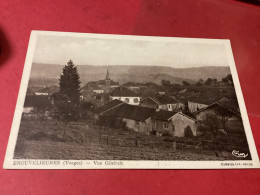 BROUVELIEURES   Vue Générale - Brouvelieures