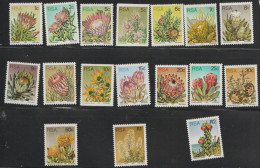 South Africa  1977  Succulents  Various Values  Unmounted Mint - Unused Stamps