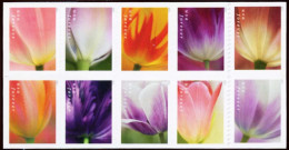 Etats-Unis / United States (Scott No.5786a - Tulips) [**] Bloc Of 10 Back Side - Nuevos