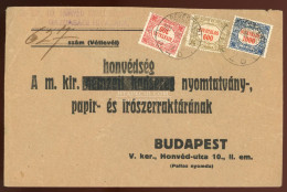 BÉKÉSCSABA 1924. Levél Hivatalos Bélyegekkel Budapestre - Oblitérés
