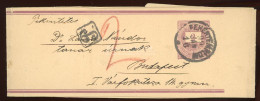 FEHÉRTEMPLOM 1899. Szép 2Kr-os Díjjegyes Címszalag Budapestre Küldve, Portózva - Used Stamps