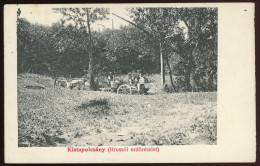 KISTAPOLCSÁNY 1912. Hrussói Erdőrészlet, Régi Képeslap - Hungría