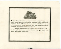 NYITRAKOROS 1846. Gróf Berényi Lajos Gyászjelentése Nagyszombatra Küldve Zerdahelyi Józsefnek - ...-1867 Prefilatelia