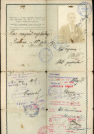 TRENCSÉN  1919.08. Ritka Fényképes útlevél, Magyar Személy Részére R! SLOVAKIA / HUNGARY - Historical Documents