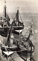 Le Hourdel * Barques De Pêche Au Port - Le Hourdel