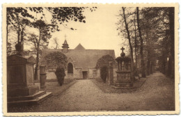 Soignies - Entrée Du Square Et Musée Archéologique Du Vieux Cimetière - Soignies