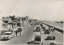 CARTE PHOTO - CANET - PLAGE -PO-  BOULEVARD DE MER -1958 - Canet Plage