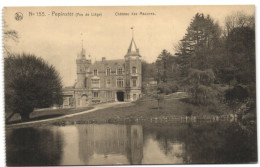 Pepinster (Pce De Liège) - Château Des Mazures - Pepinster